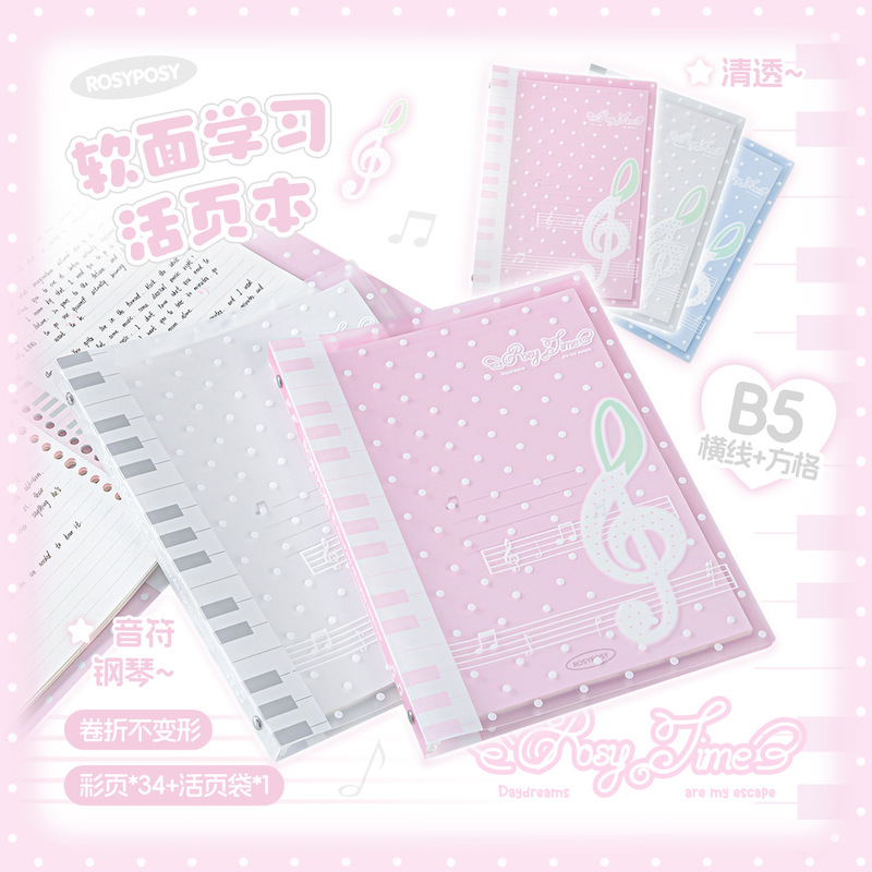 Rosyposy Melody Loose Leaf Not - Blank Sheet Music Notebook 评论和价格